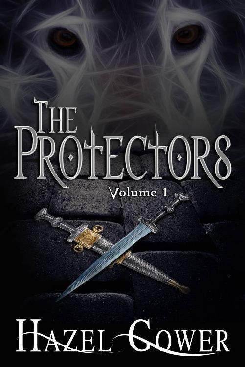 The Protectors, Volume 1