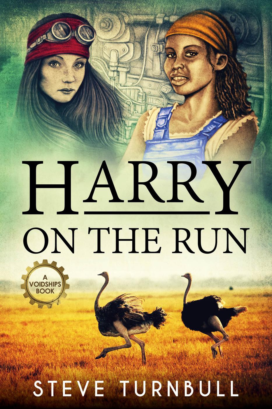 Harry on the Run