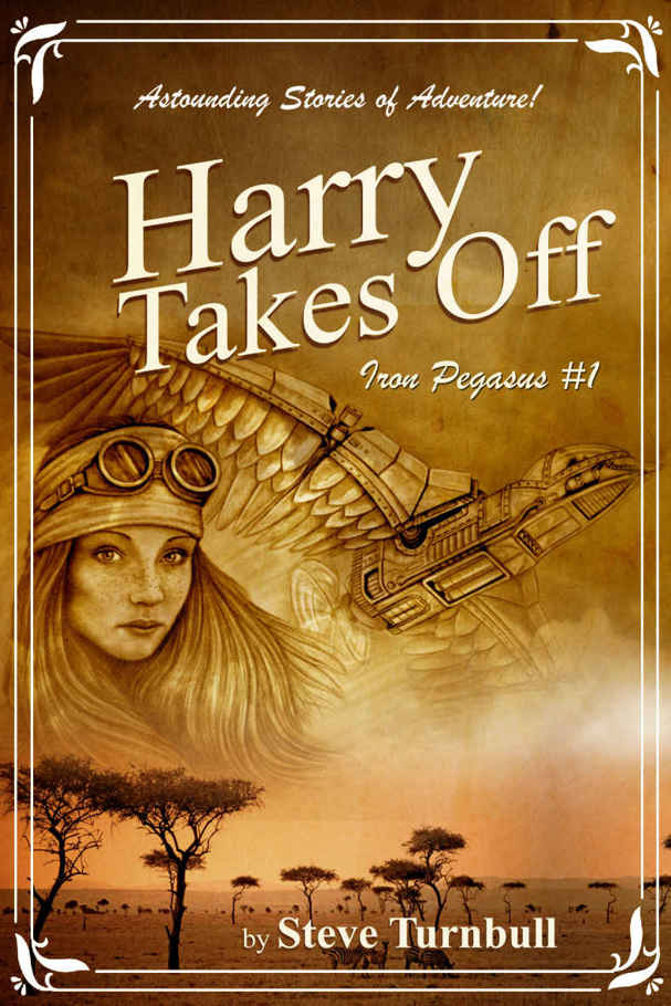 Harry Takes Off