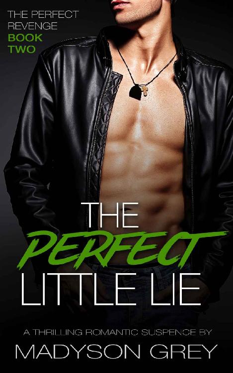 The Perfect Little Lie: A Thrilling Romantic Suspense (The Perfect Revenge Book 2)