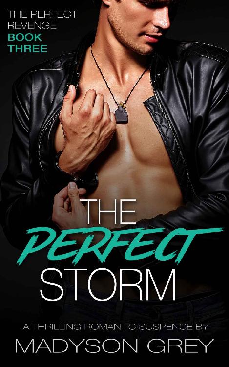 The Perfect Storm: A Thrilling Romantic Suspense (The Perfect Revenge Book 3)