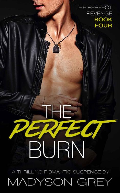 The Perfect Burn: A Thrilling Romantic Suspense (The Perfect Revenge Book 4)