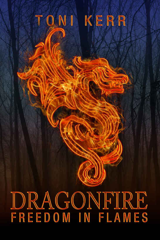 Dragonfire: Freedom in Flames