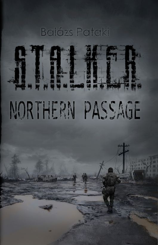S.T.A.L.K.E.R. Northern Passage