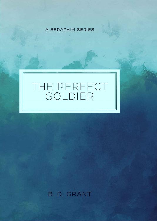 The Perfect Soldier