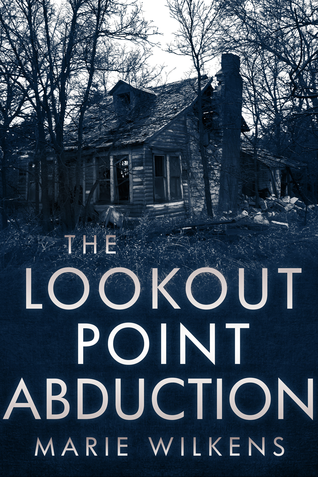 The Lookout Point Abduction