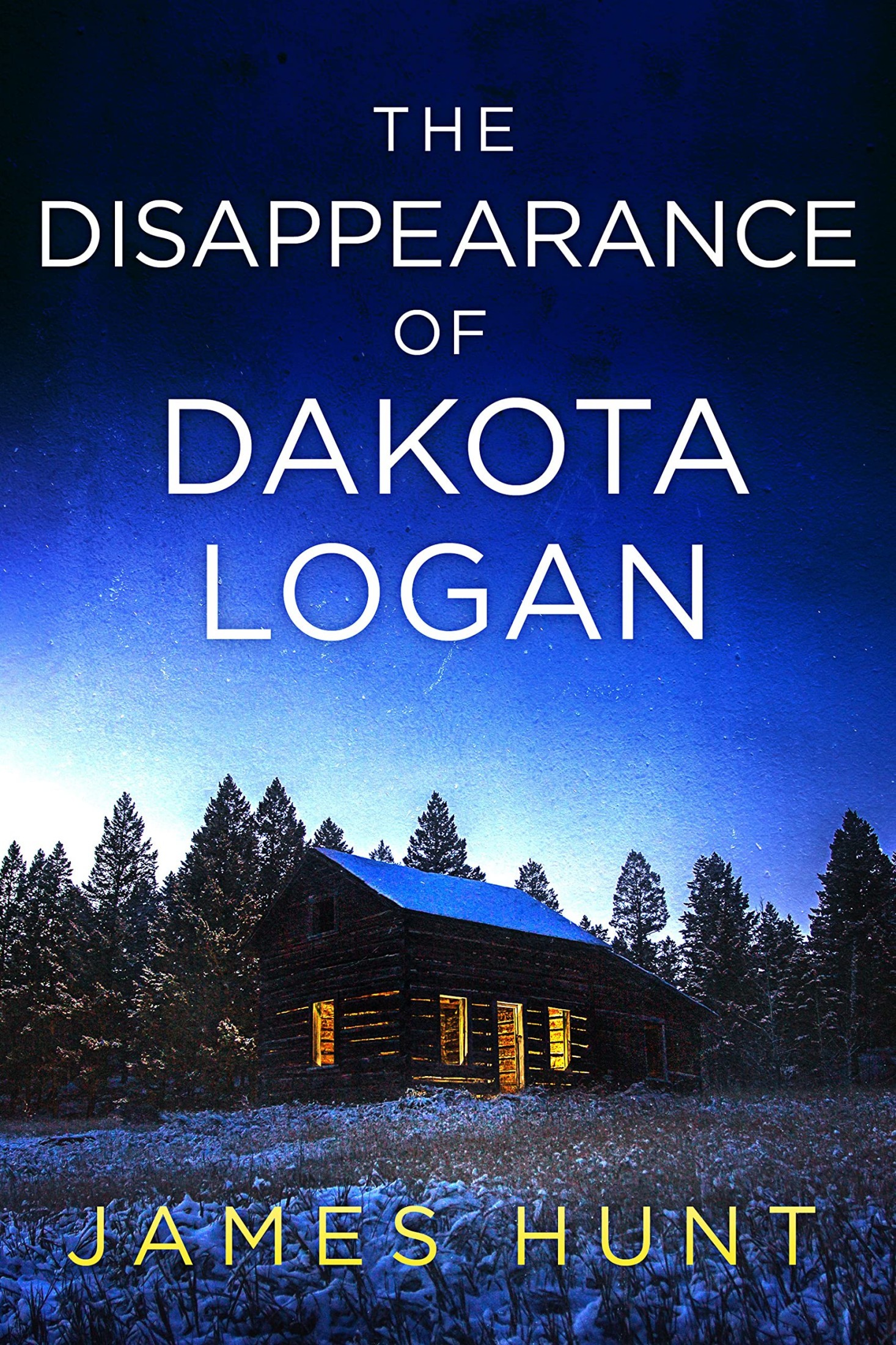The Disappearance of Dakota Logan