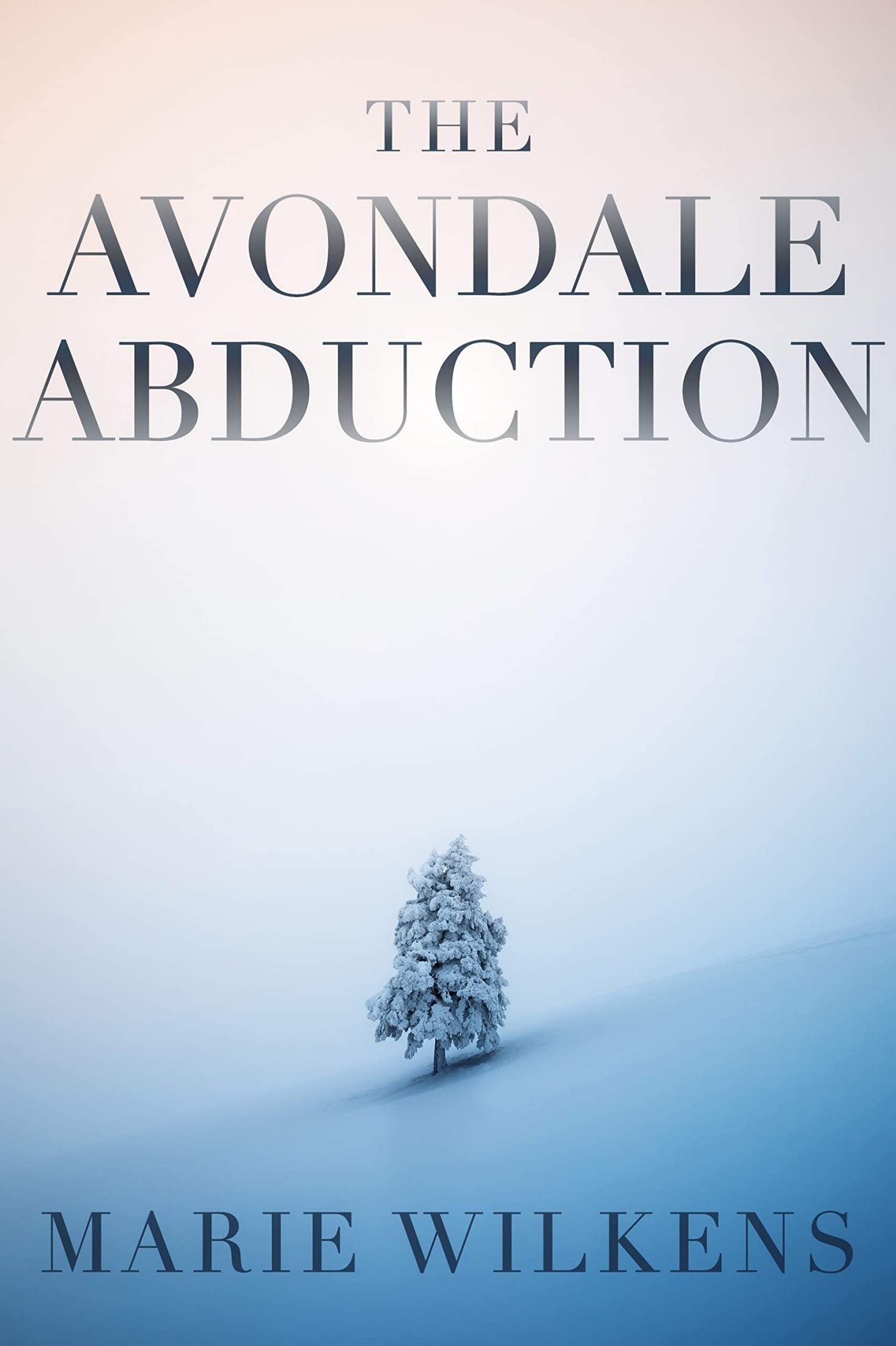 The Avondale Abduction