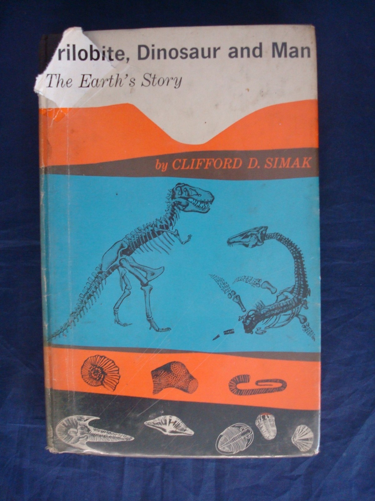 Trilobite, Dinosaur, and Man: The Earth's Story