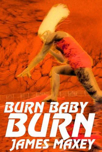 Burn Baby Burn: A Supervillain Novel