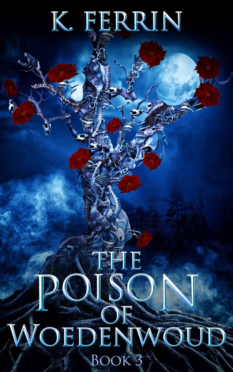 The Poison of Woedenwoud (Magicfall Book 3)