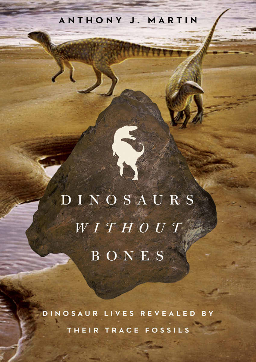 Dinosaurs Without Bones: Dinosaur Lives Revealed by their Trace Fossils