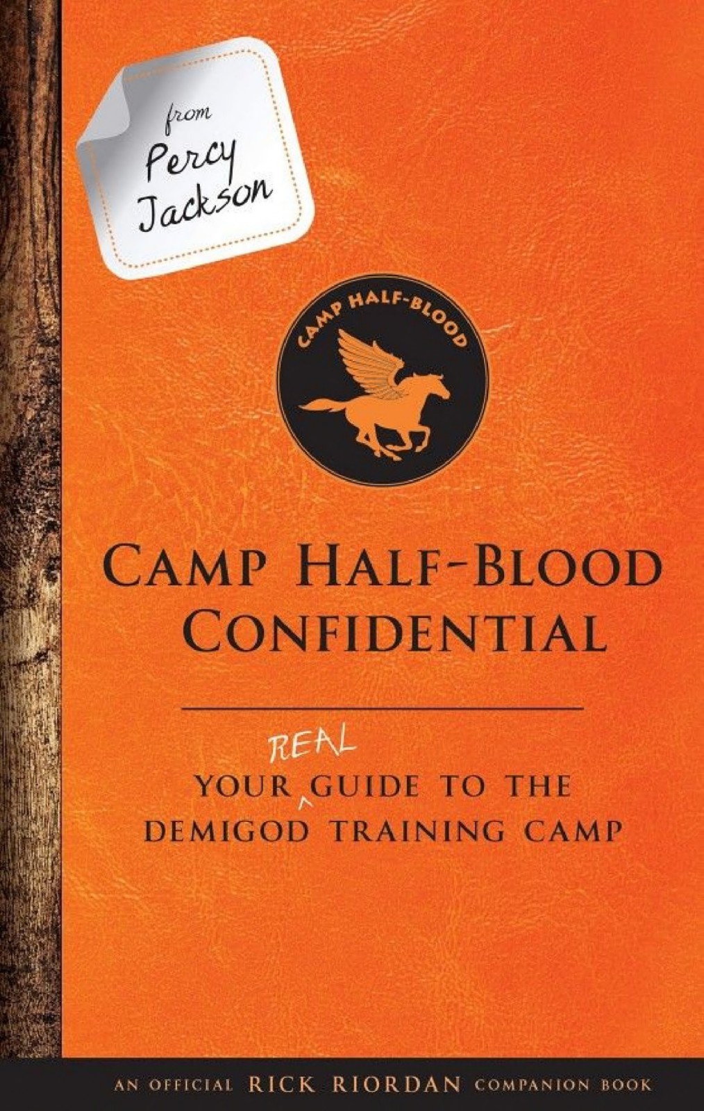 Camp Half-Blood Confidential: Your Real Guide to the Demigod Training Camp