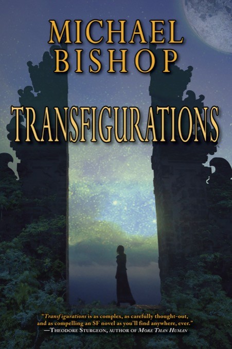 Transfigurations