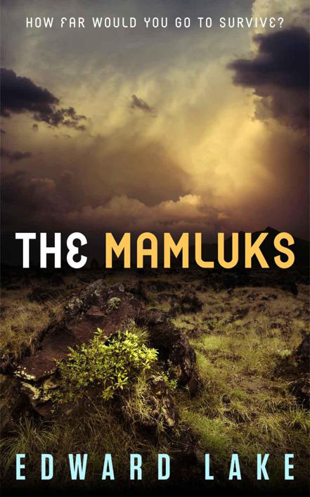 The Mamluks