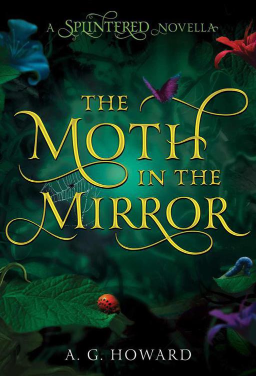 The Moth in the Mirror