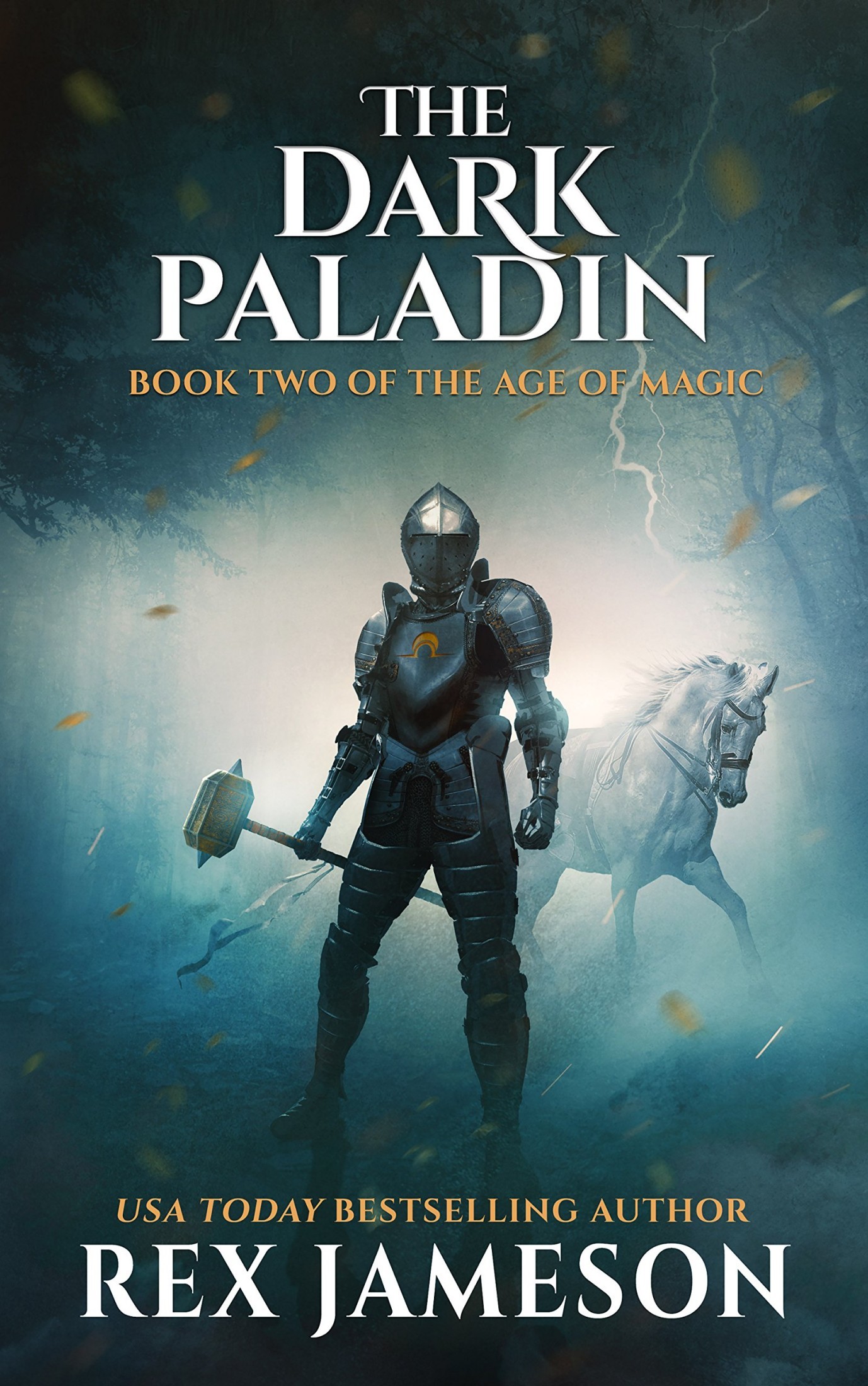 The Dark Paladin