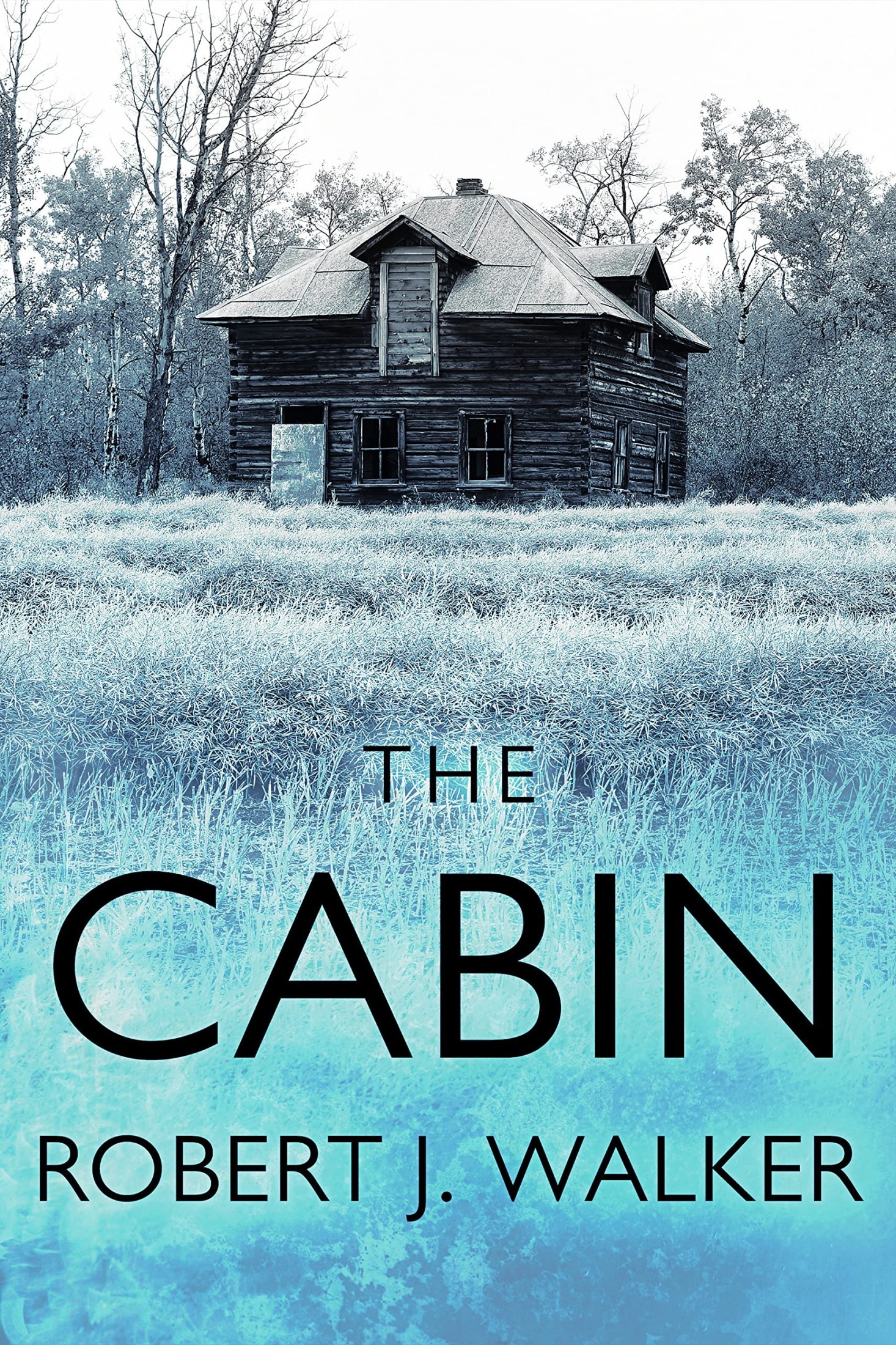 The Cabin