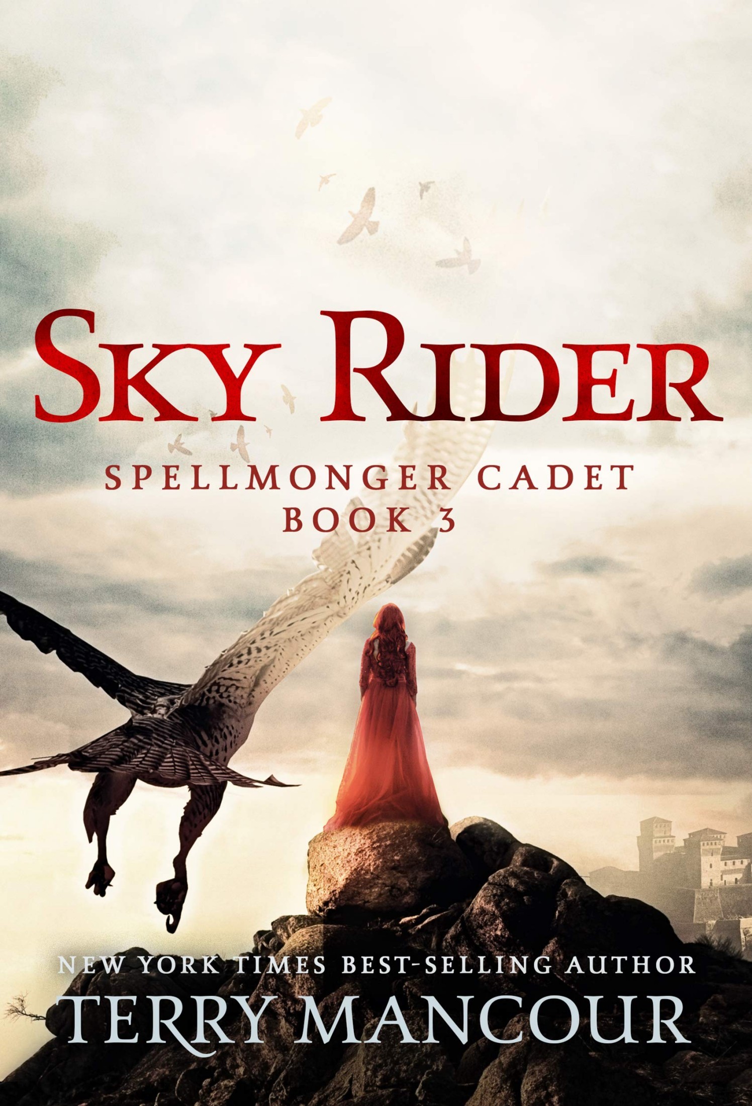 Sky Rider