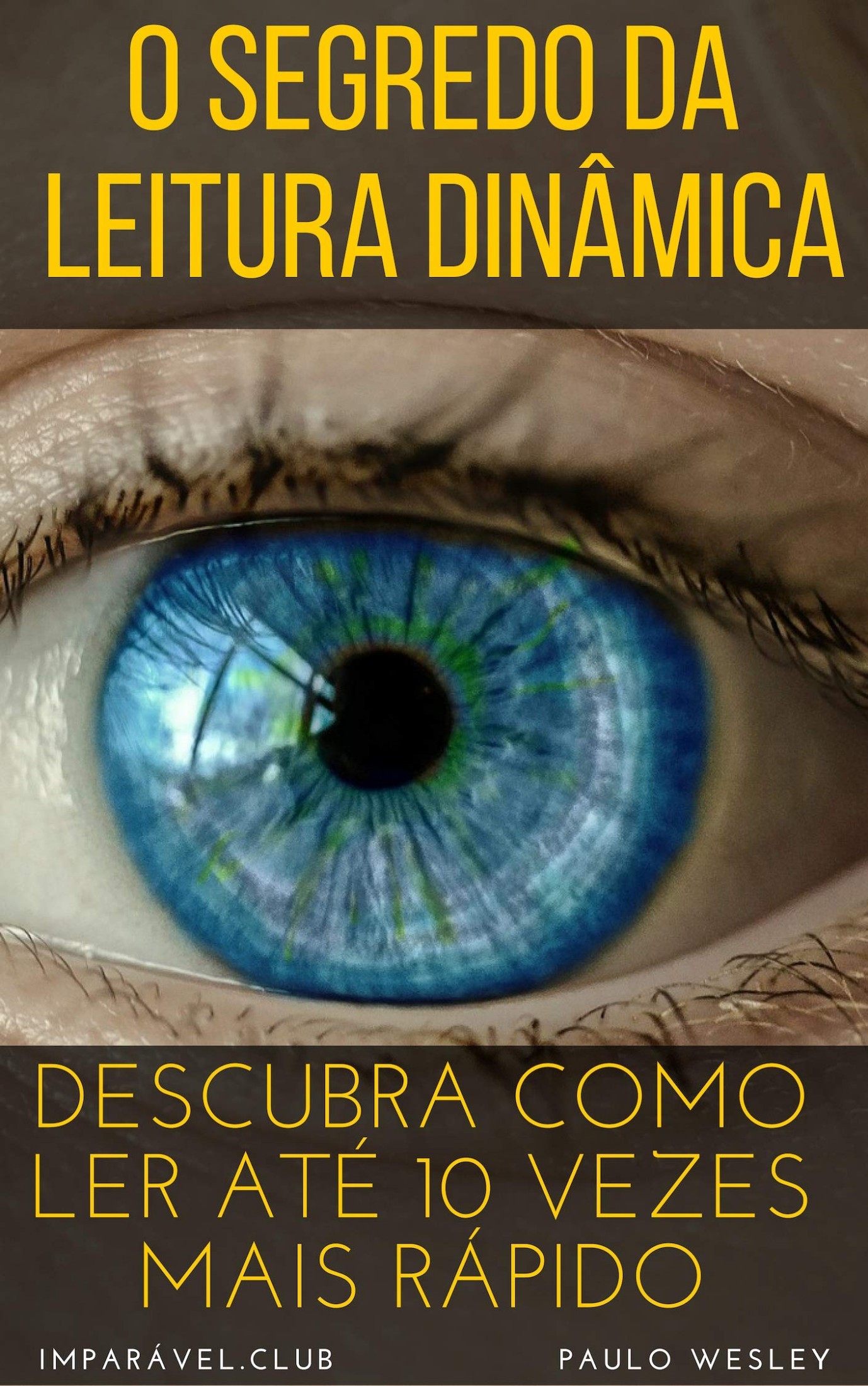 O Segredo da Leitura Dinâmica