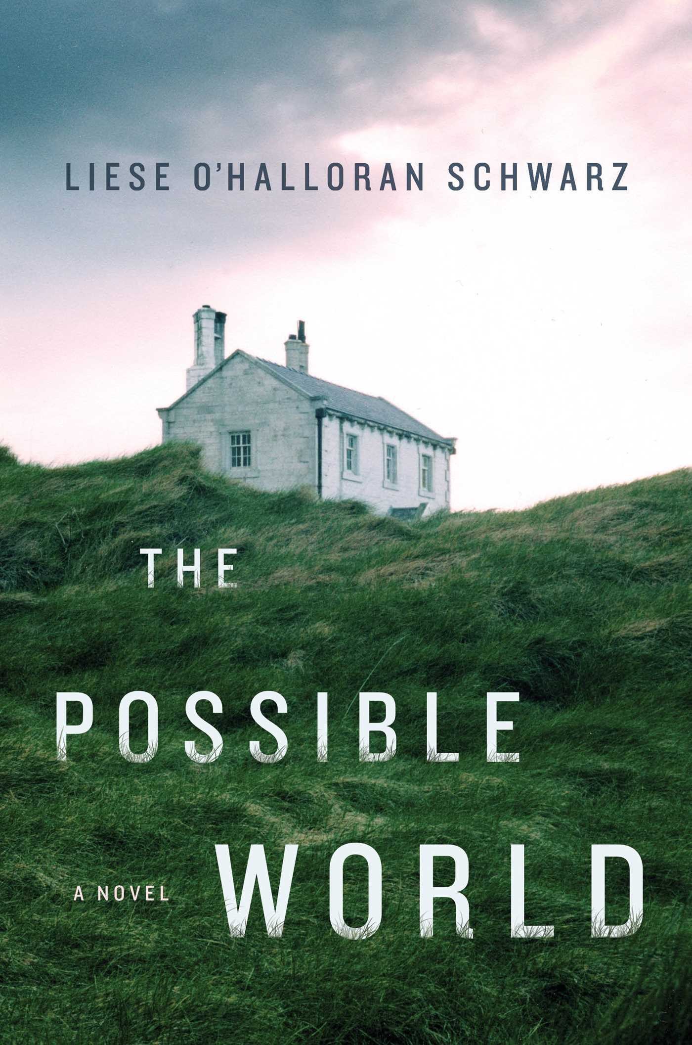 The Possible World