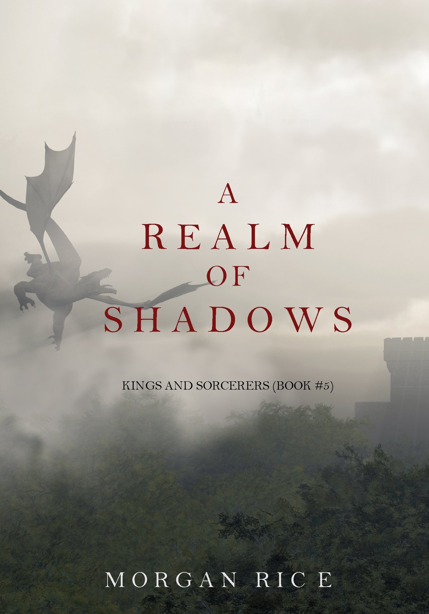 A Realm of Shadows