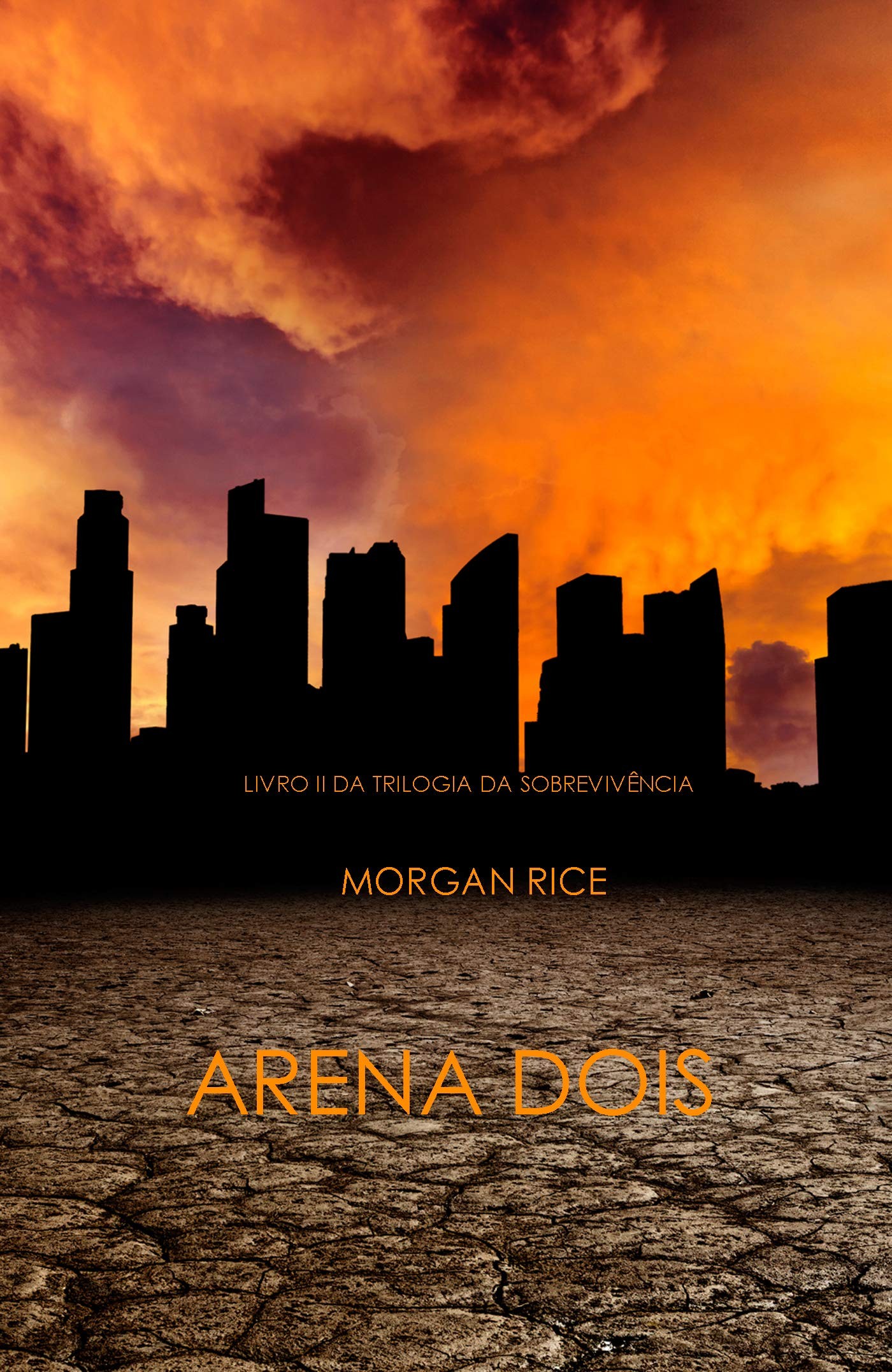 Arena Dois