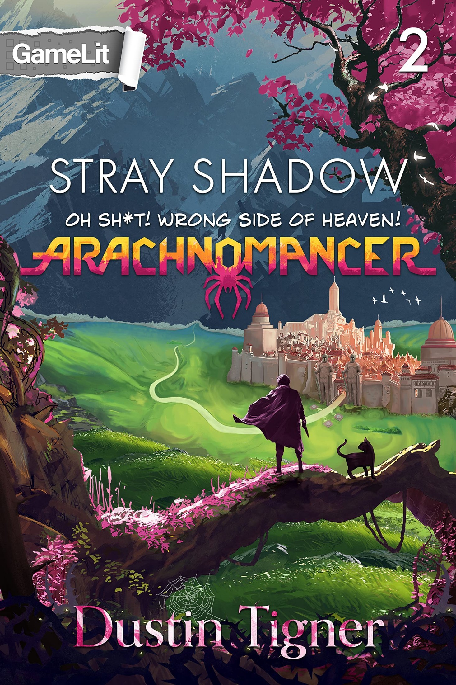 Stray Shadow: Oh Sh*t! Wrong Side of Heaven!