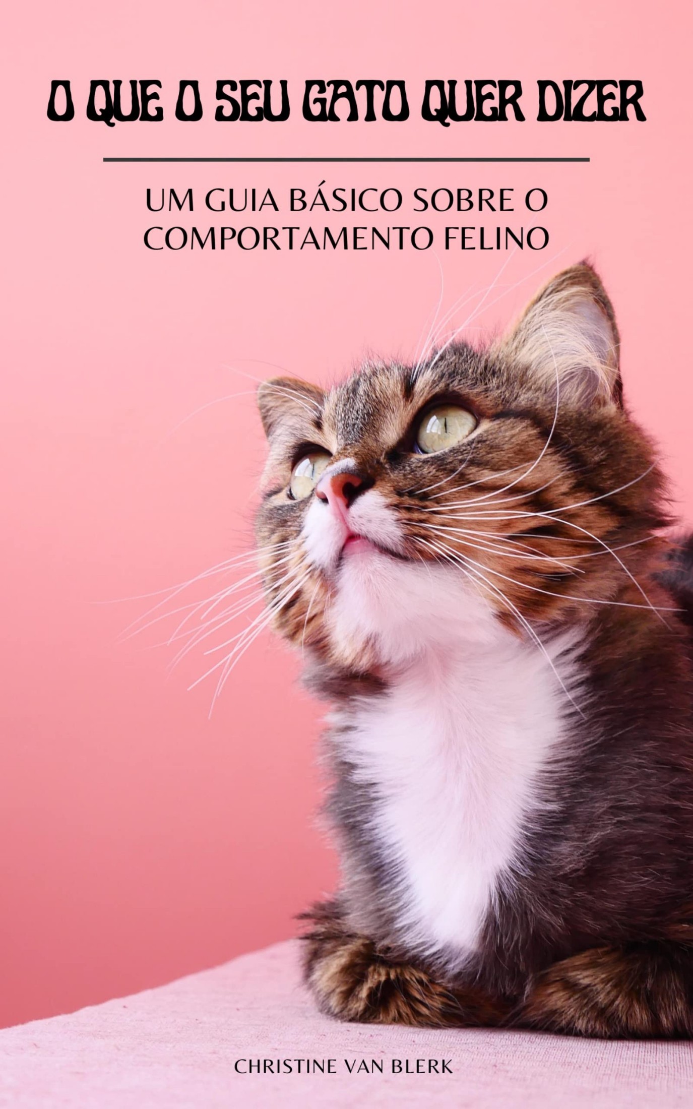 O QUE O SEU GATO QUER DIZER: Um guia básico sobre o comportamento felino