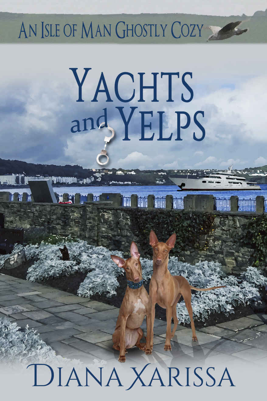 Yachts and Yelps