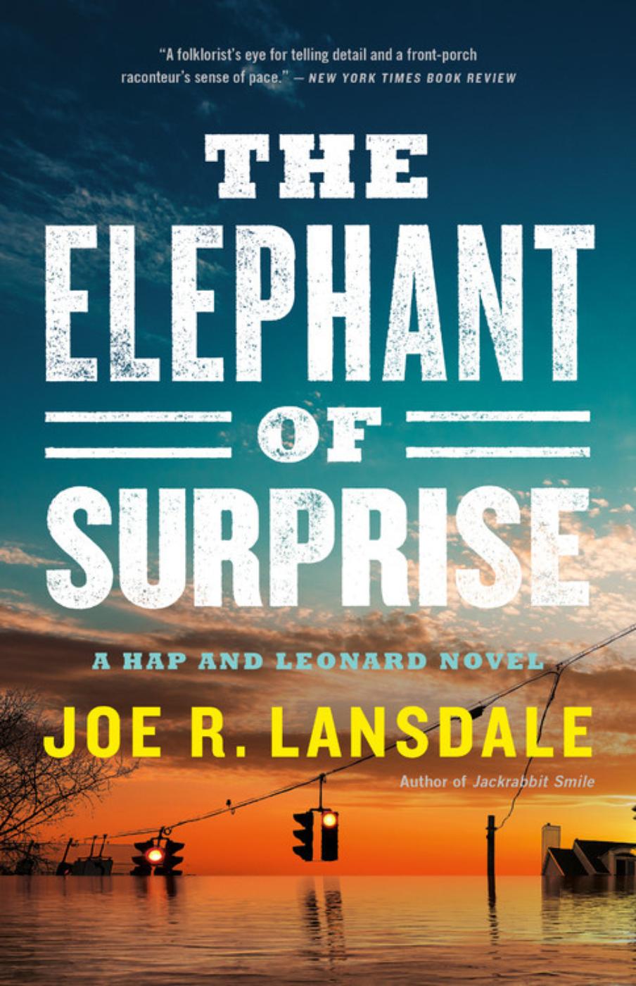 The Elephant of Surprise