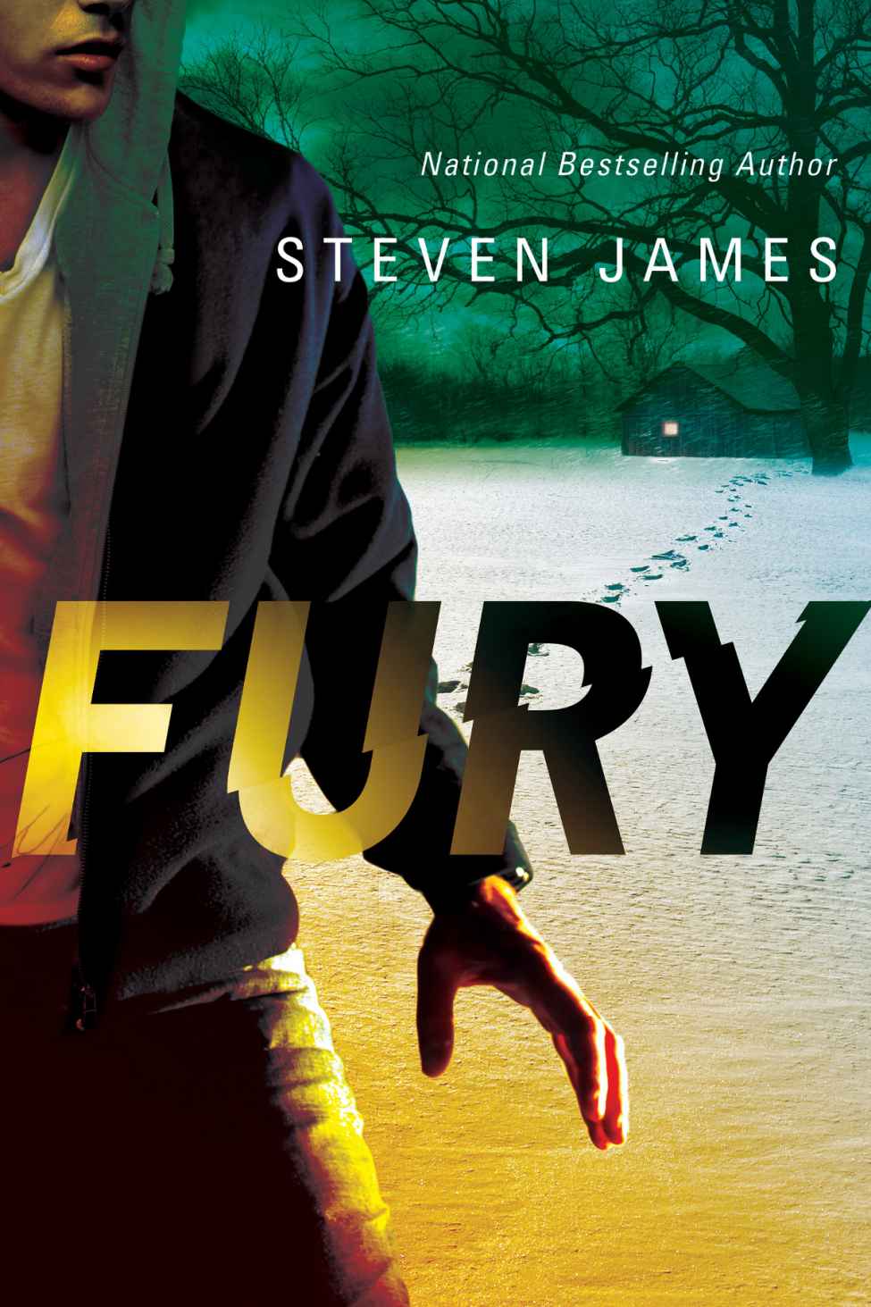 Fury