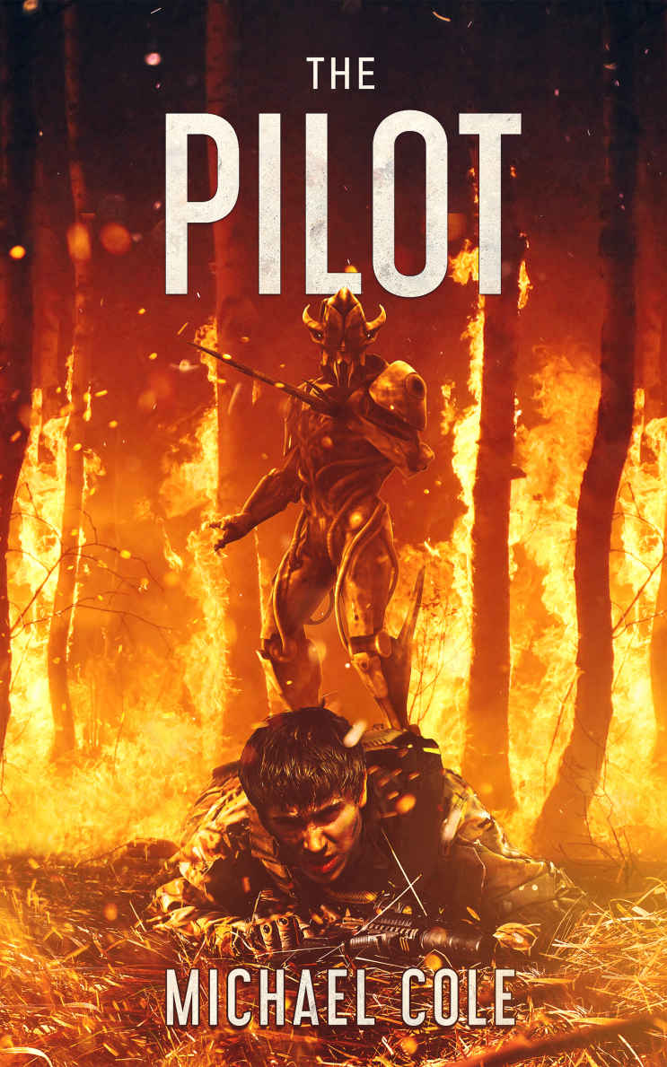 The Pilot