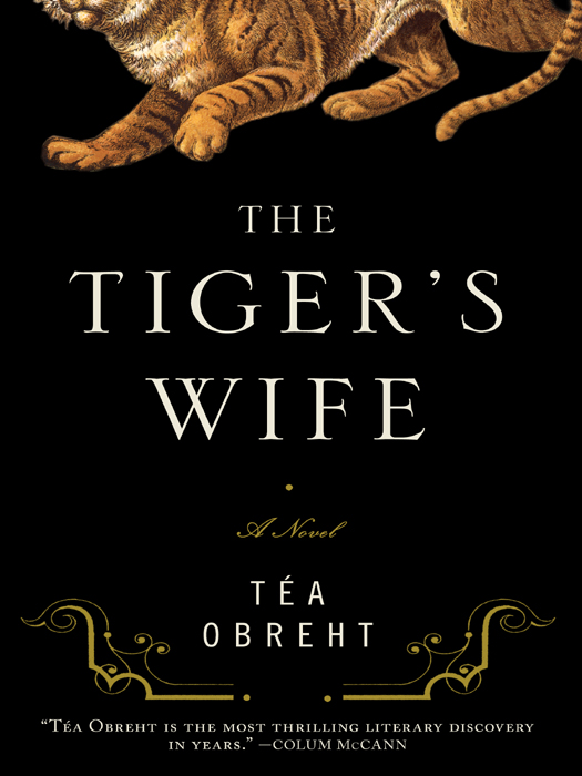 The Tiger's Wife