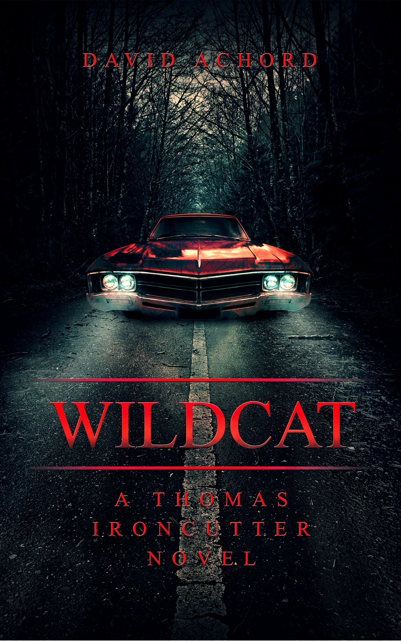 Wildcat