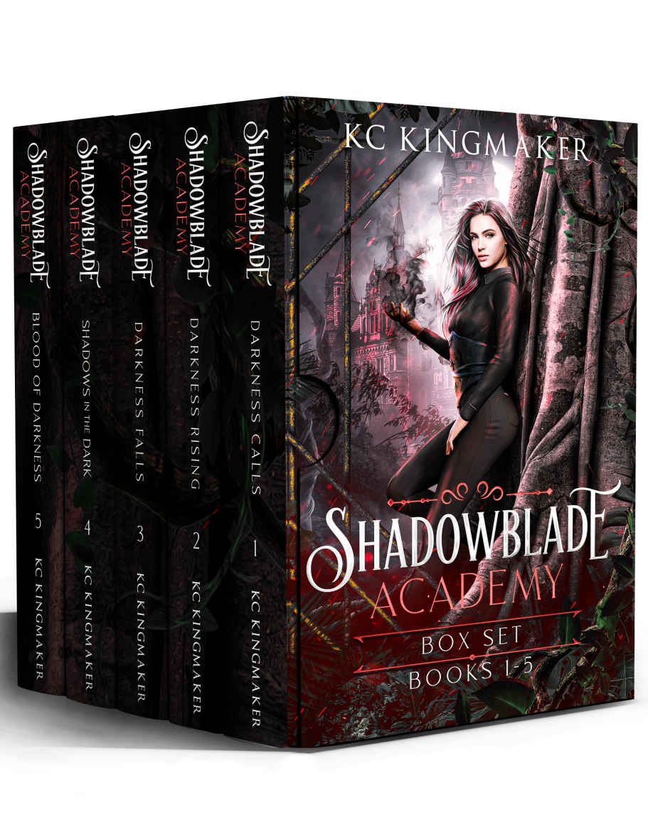 Shadowblade Academy: Complete Series Box Set