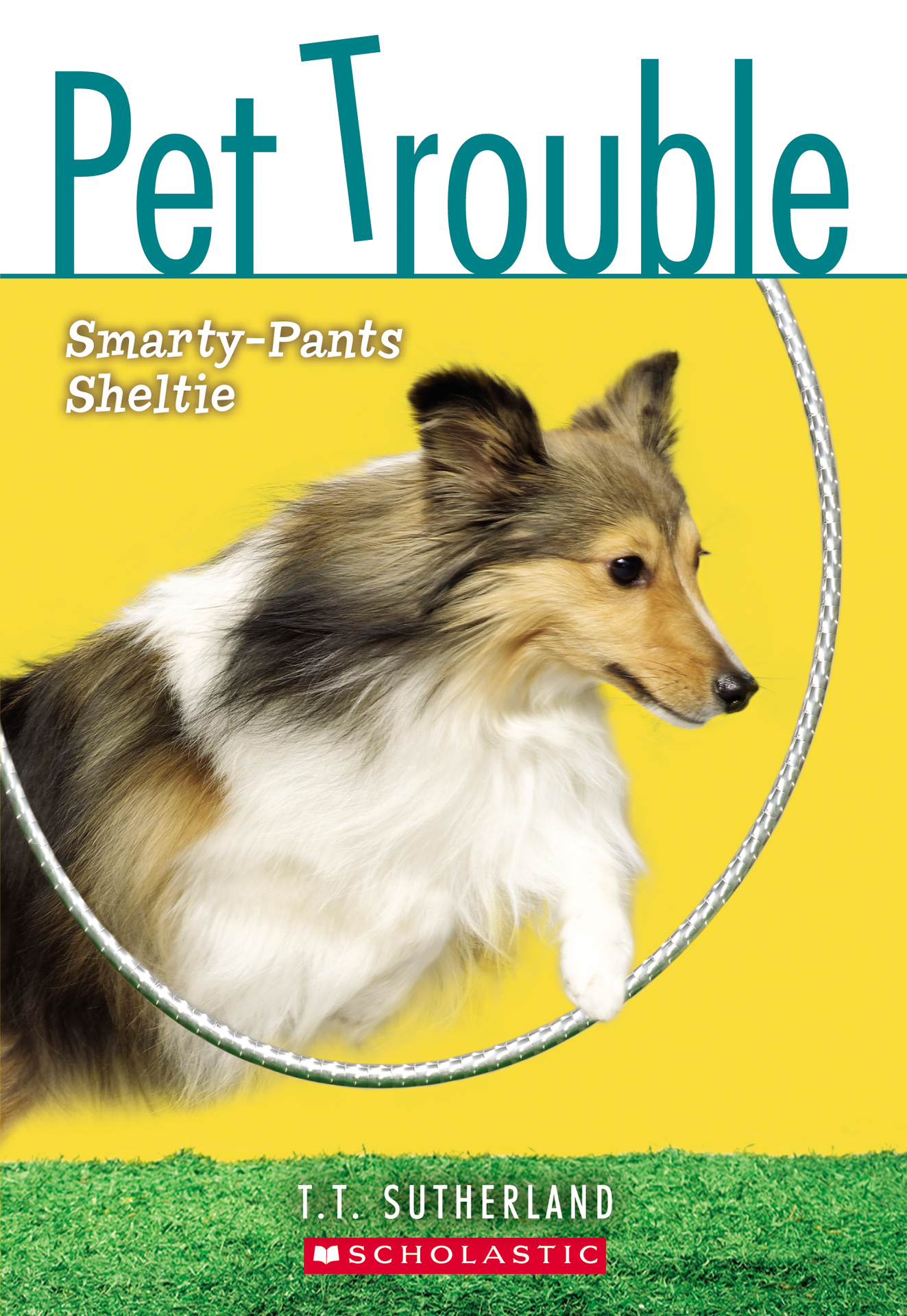 Smarty-Pants Sheltie