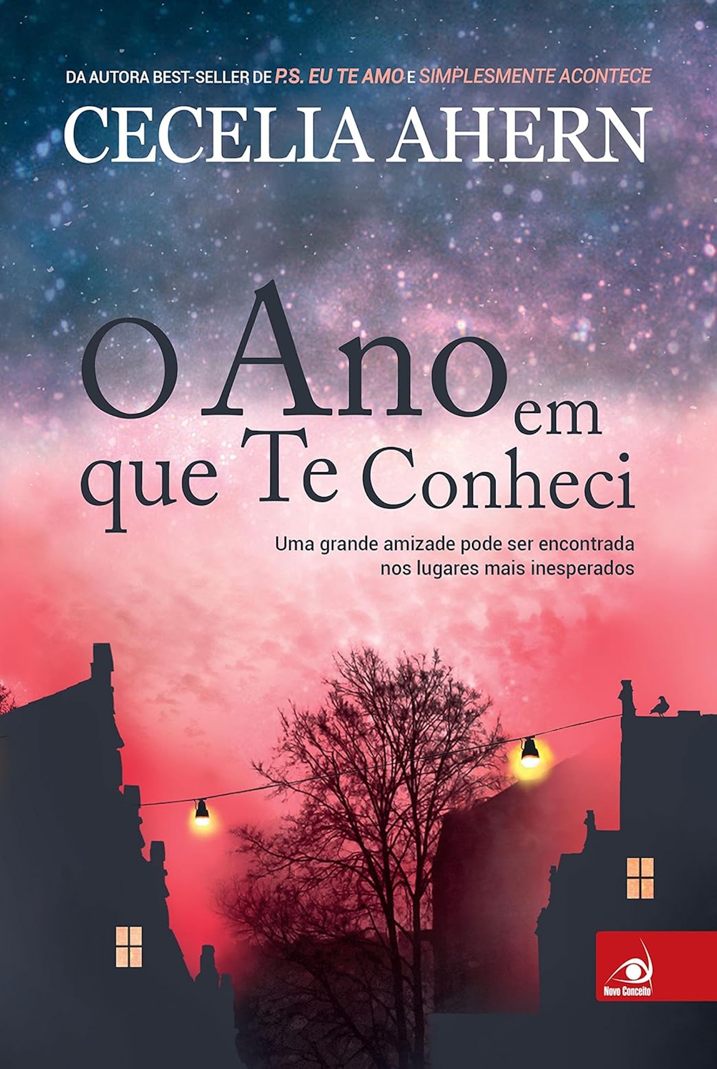 O Ano em que Te Conheci