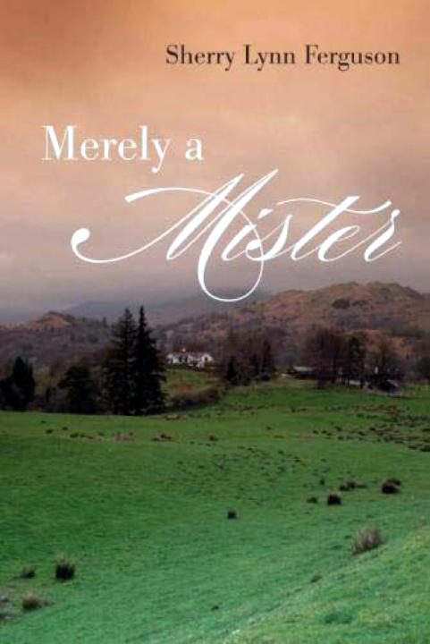 Merely a Mister