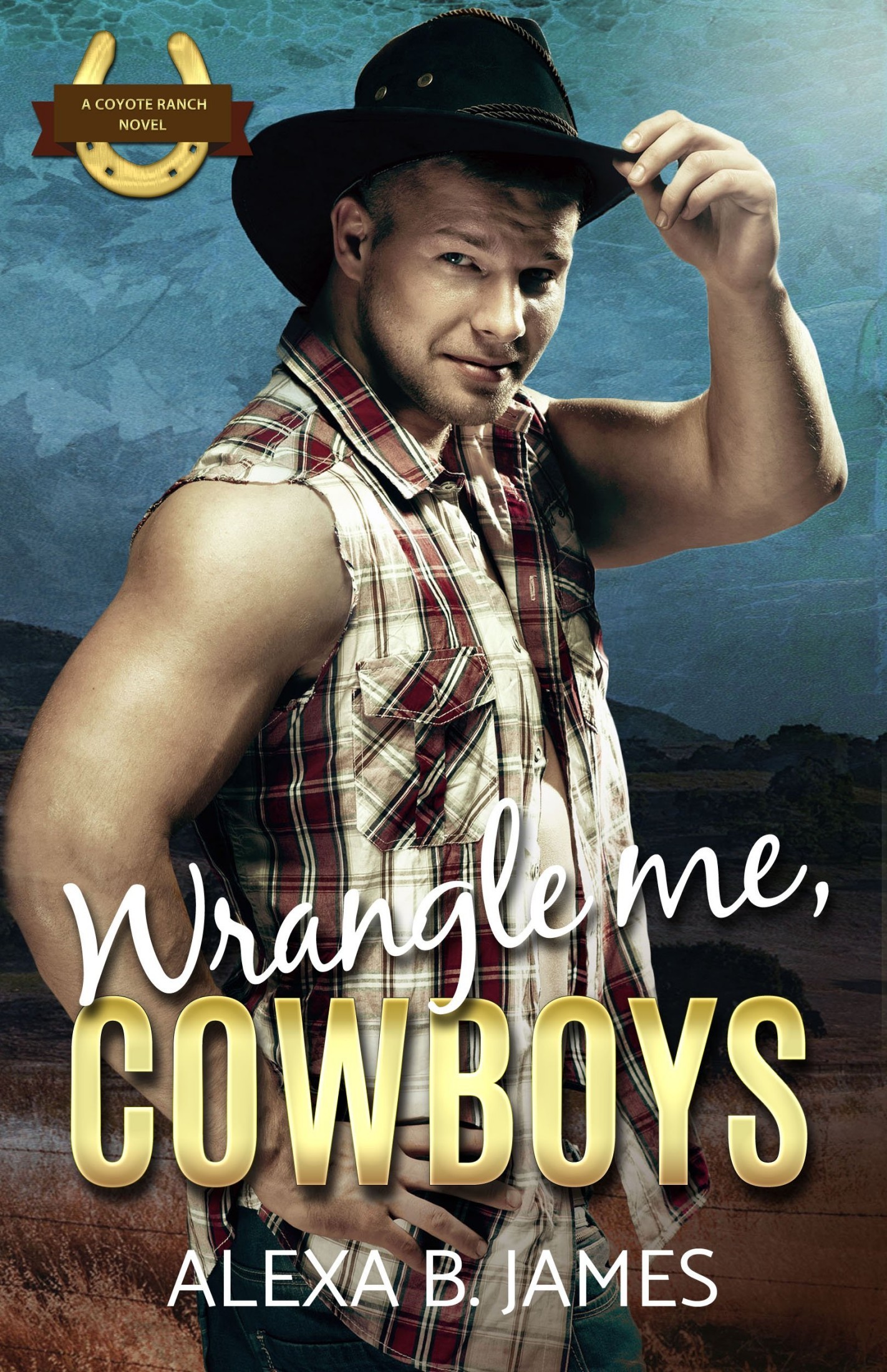 Wrangle Me, Cowboys