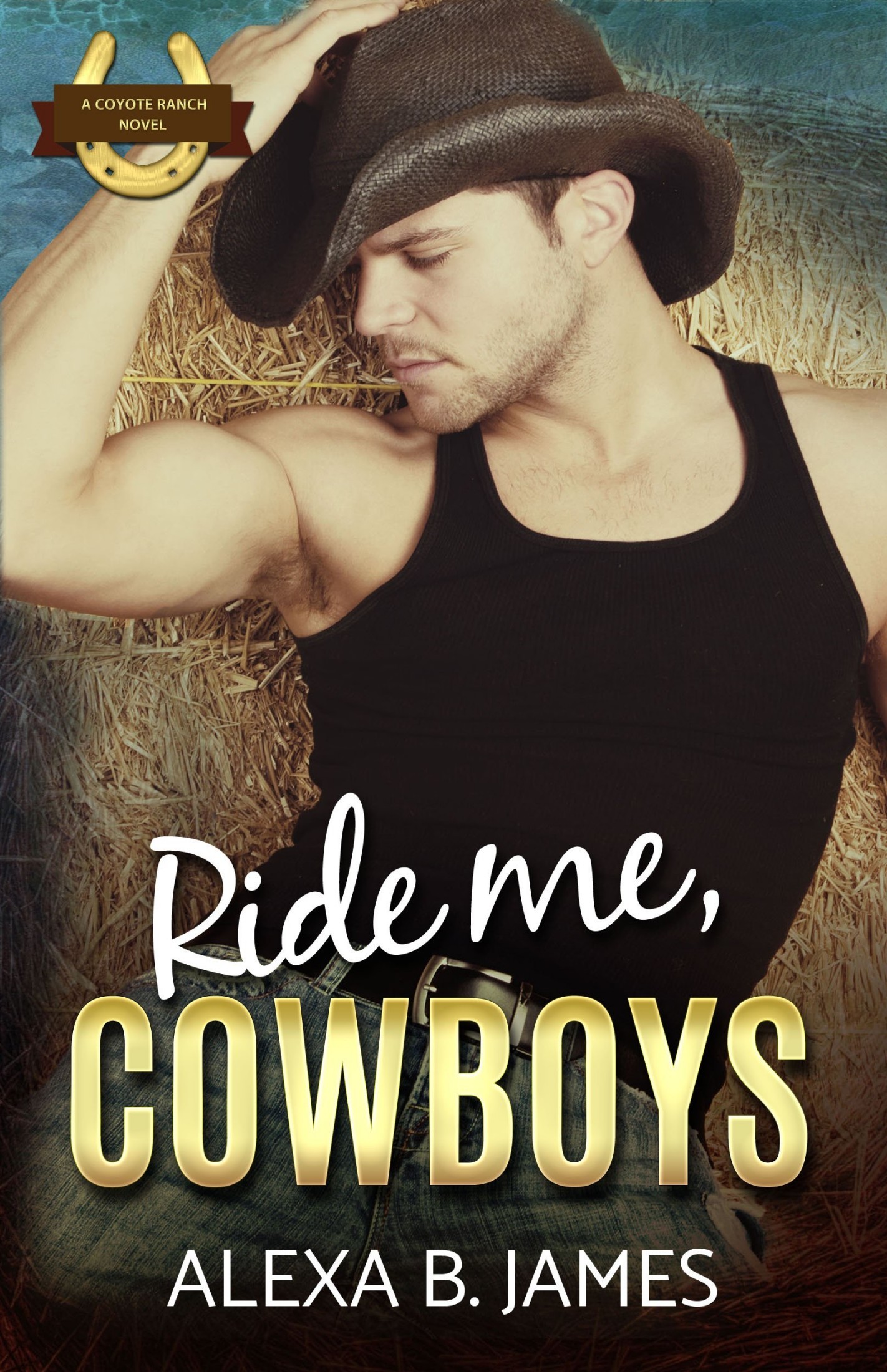 Ride Me, Cowboys