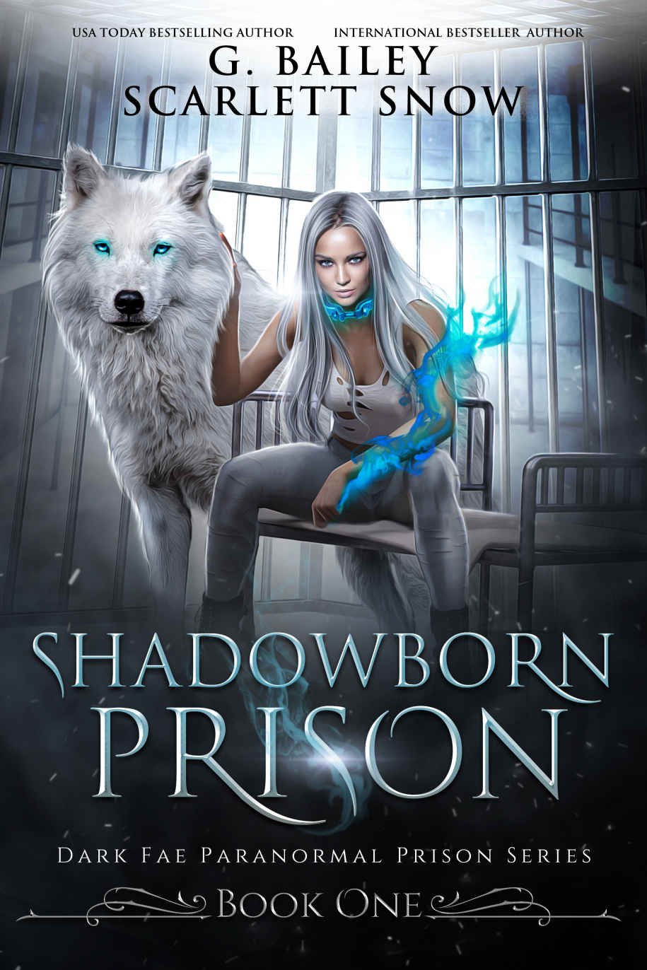 Shadowborn Prison