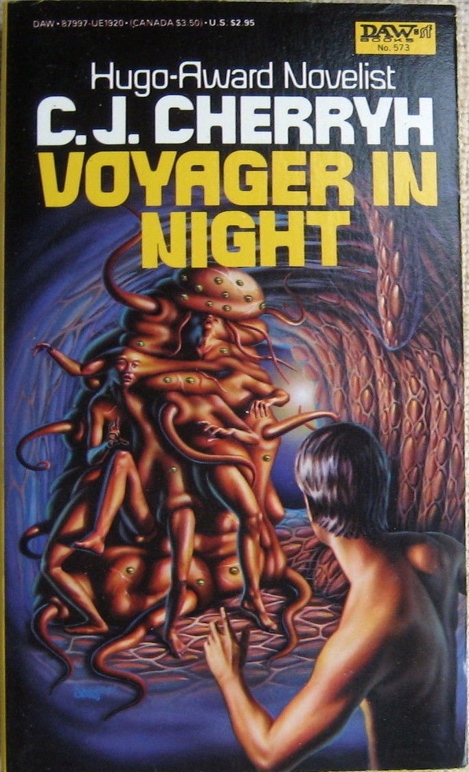 Voyager in Night