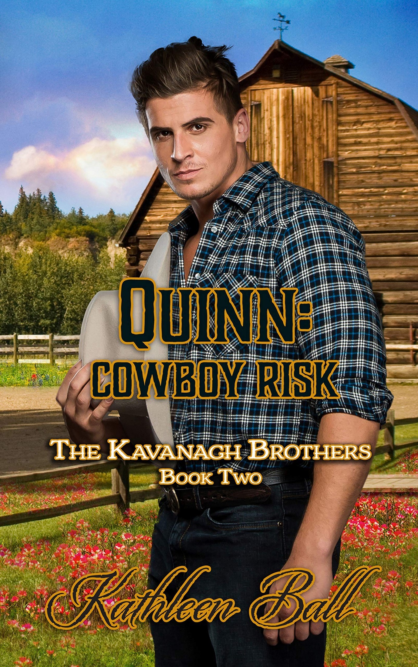 Quinn: Cowboy Risk