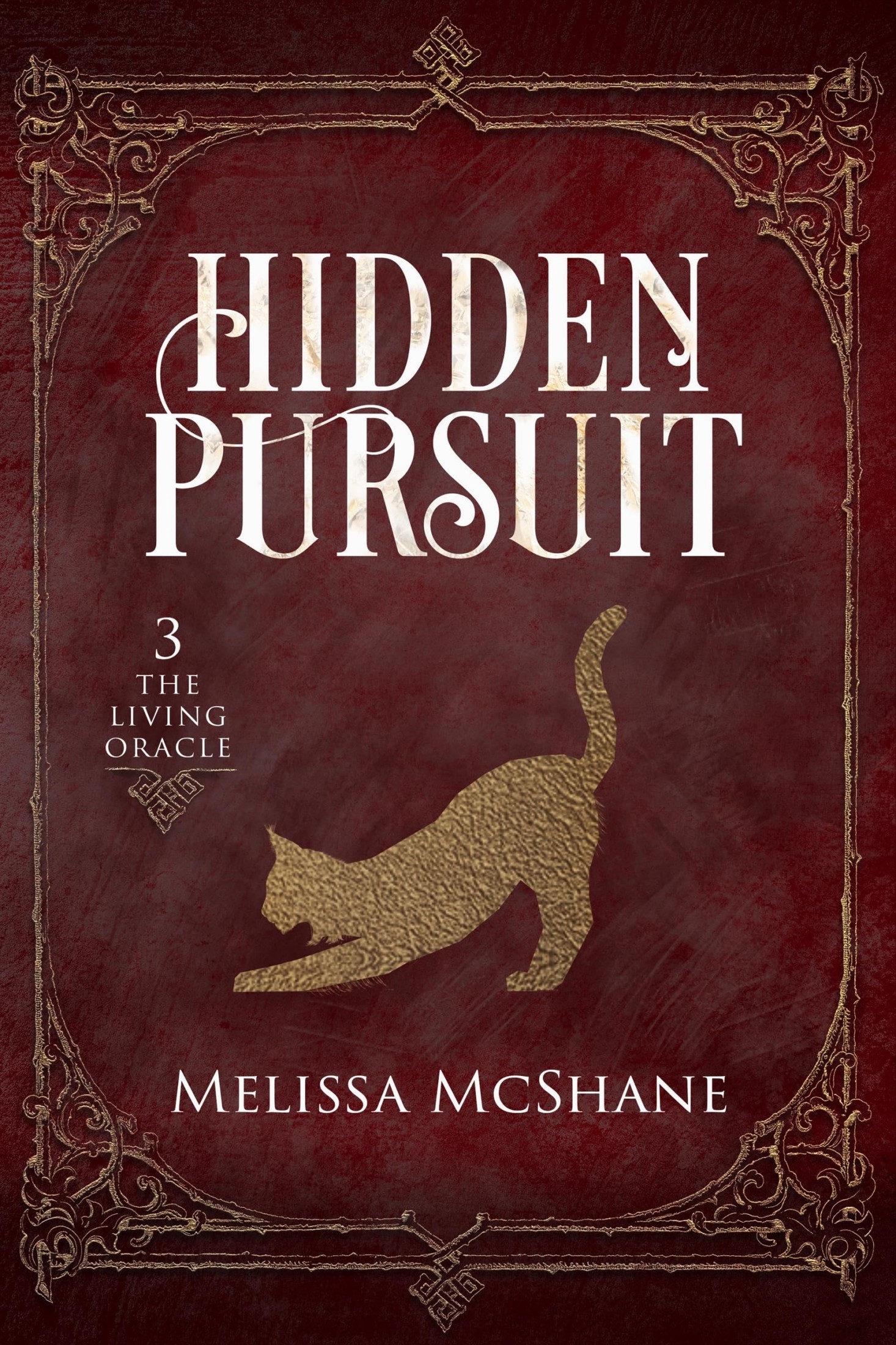 Hidden Pursuit