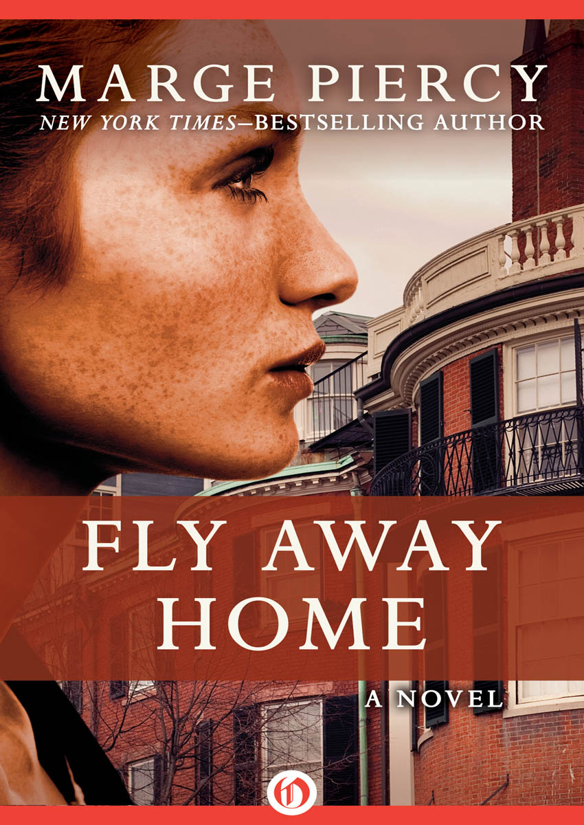 Fly Away Home