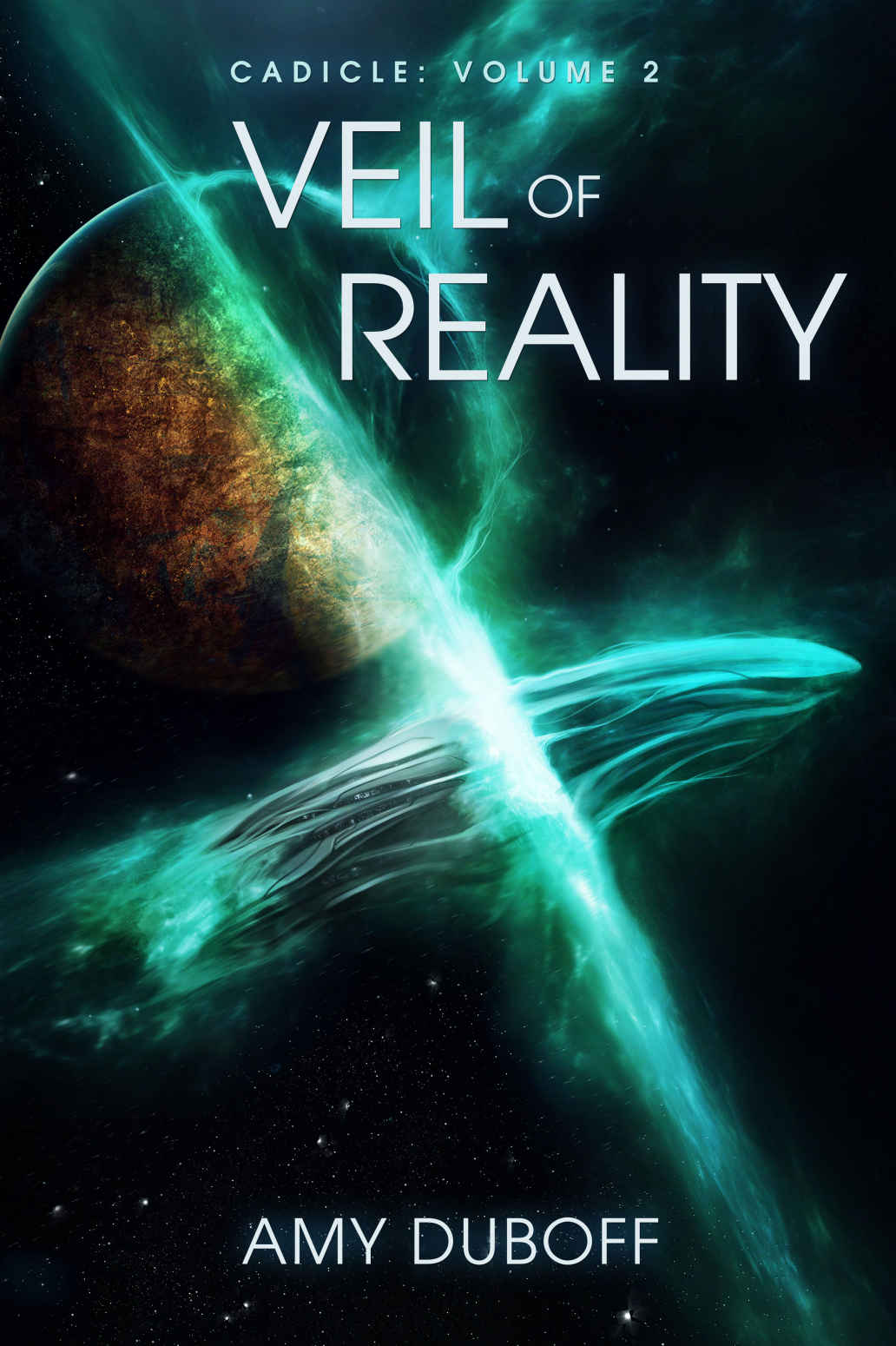 Veil of Reality